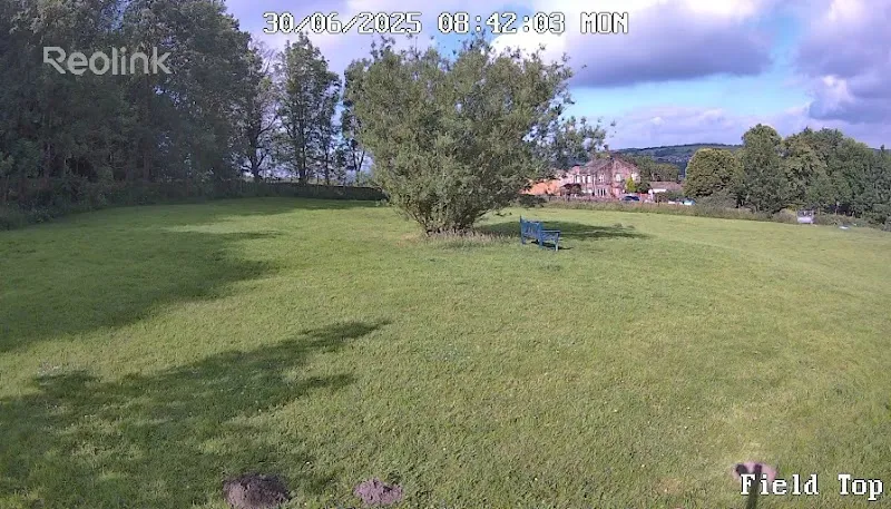 It's All About The Dog secure private dog field in Keighley, BD21 5QX