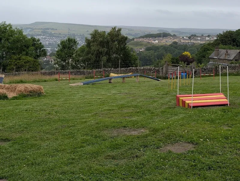 It's All About The Dog secure private dog field in Keighley, BD21 5QX