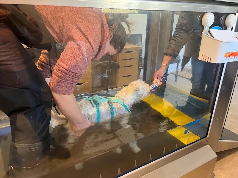 K9 Water Treadmill @ Priory Farm secure private dog field in Slough, SL3 6BU