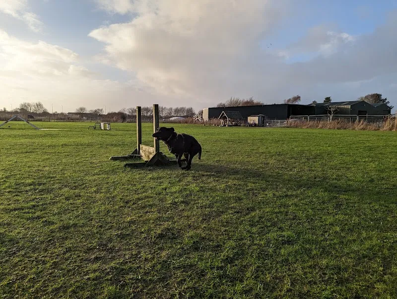 DoggyVIP Field & Park and Raw Dog Food Shop secure private dog field in Formby, L37 0AF