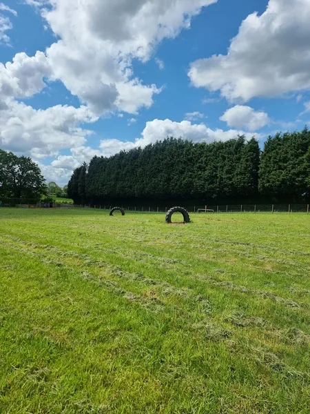 Muttnall Green Secure Dog Field secure private dog field in Droitwich, WR90NE