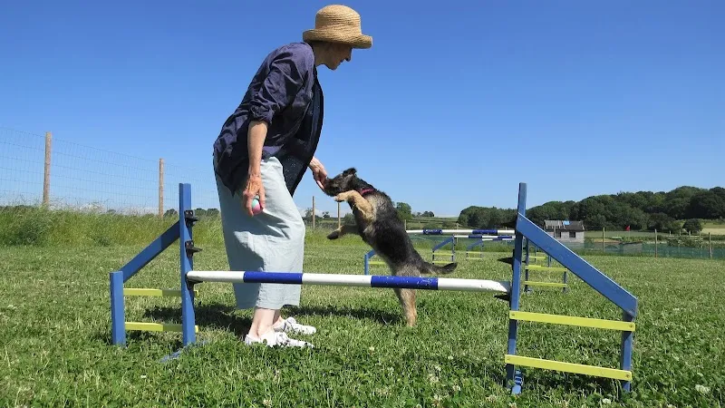 Cedarbarn Dog Field secure private dog field in Pickering, YO18 7JX