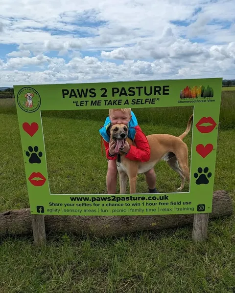 Paws2Pasture secure private dog field in Belton, LE12 9UJ
