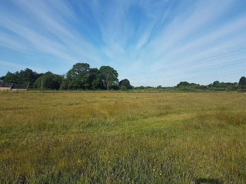Hound Haven at Shaw secure private dog field in Melksham, SN12 8EG