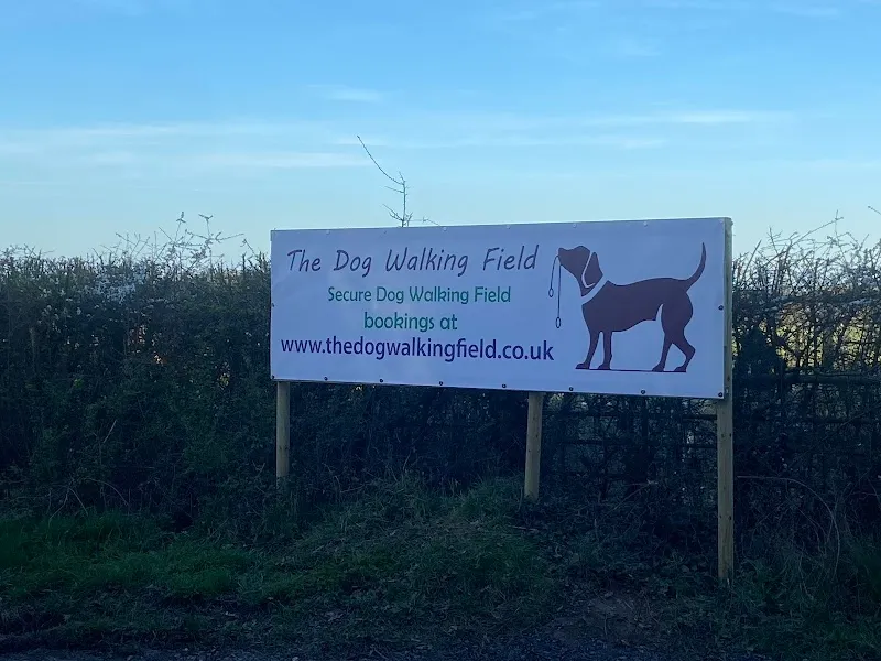 The Dog Walking Field - Chelmsford secure private dog field in The Dog Walking Field – Chelmsford Margaretting Rd Writtle Chelmsford, CM1 3PN