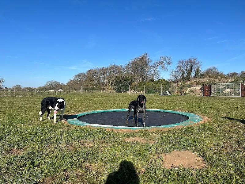 Warren Dog Park secure private dog field in Banbury, CB8 7QP