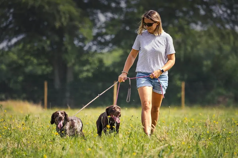 Westy & Worzel Dog Exercise Field secure private dog field in Sidmouth, EX10 0NY