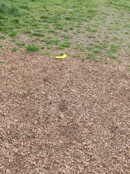 Westmoor Walkies secure private dog field in Newcastle upon Tyne, NE12 7NS