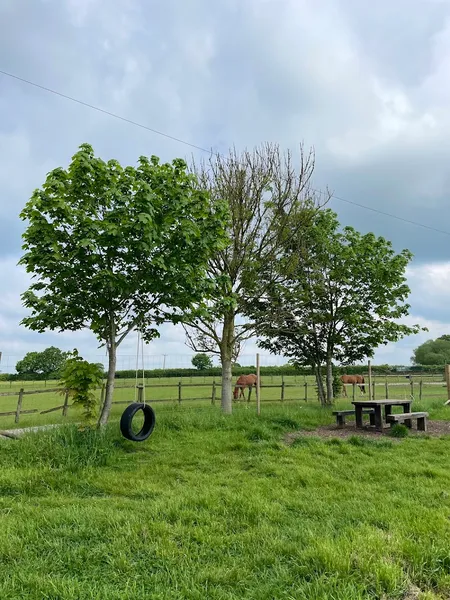 Kingsley Dog Field secure private dog field in Frodsham, WA6 8JA