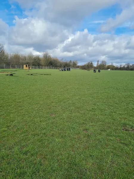 Adventure Bark secure private dog field in Newmachar, SG10 6JE