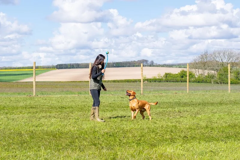 Percy's Park Dog Field secure private dog field in Swanland, HU14 3PZ