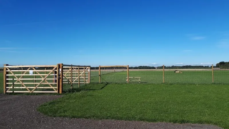 Barmby Fields - Dog Walking Field secure private dog field in East Riding Of Yorkshire, YO42 4ER