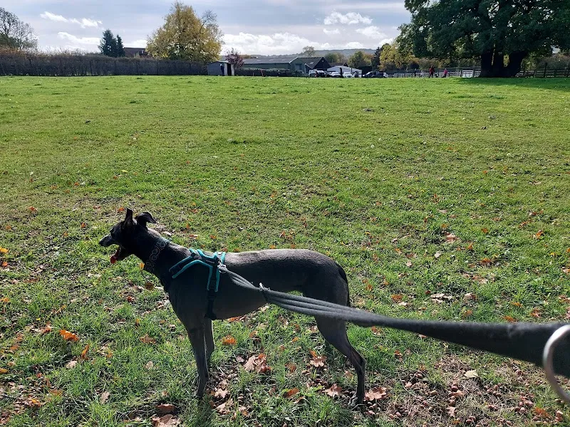 grendon dog field secure private dog field in CV9 3DP