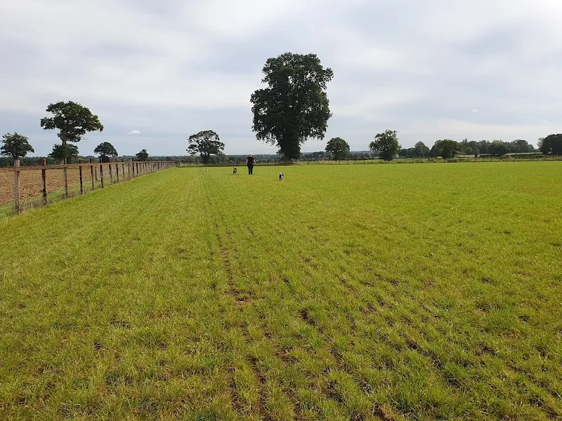 High Oaks Dog Field secure private dog field in Aylsham, NR11 7DL