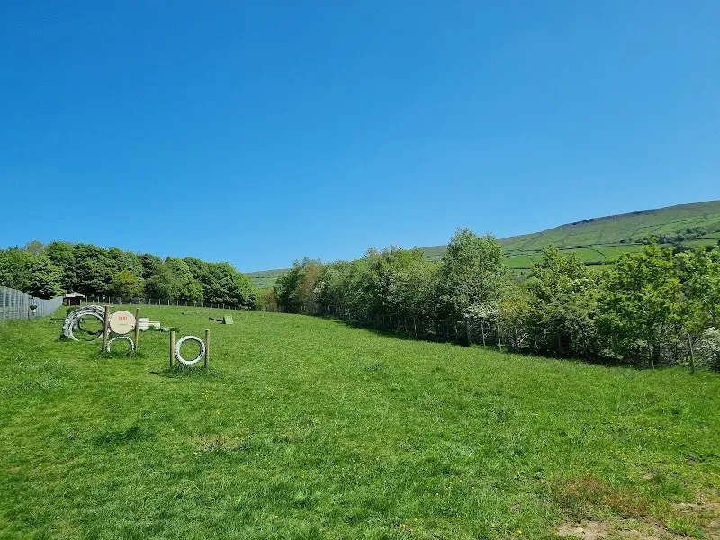 DoGcross Dog Field secure private dog field in Hollygrove Dobcross, OL3 5JQ