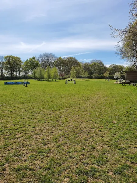 TJ's Green Field secure private dog field in East Sussex, TN35 4SR