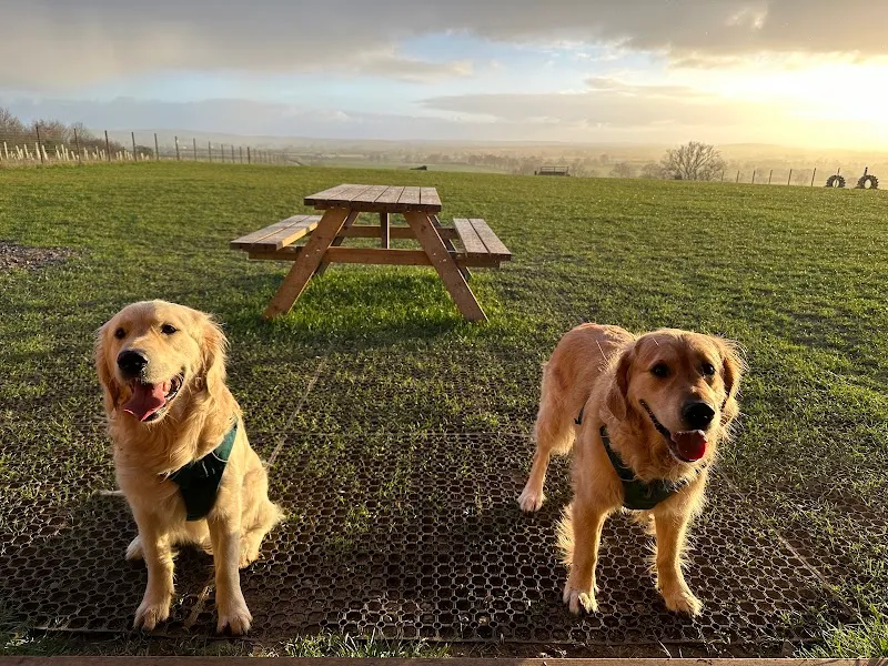 Poundon Pastures secure private dog field in Bicester, OX27 9BB