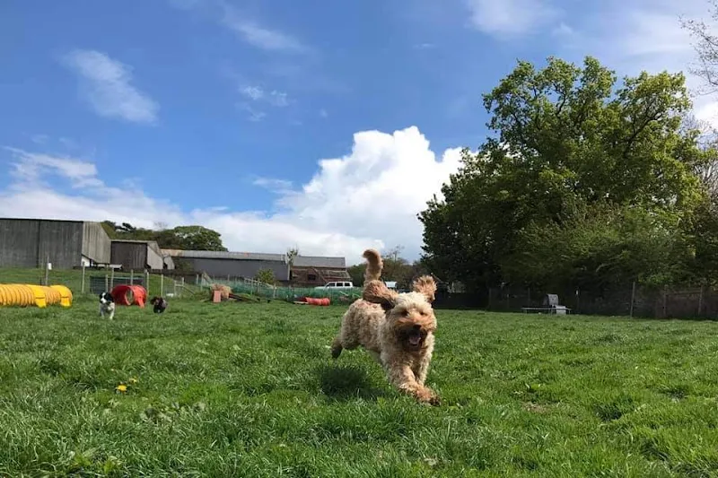 Gilbert's Gallop Secure Dog Walking Field secure private dog field in Loughborough, LE12 9YD