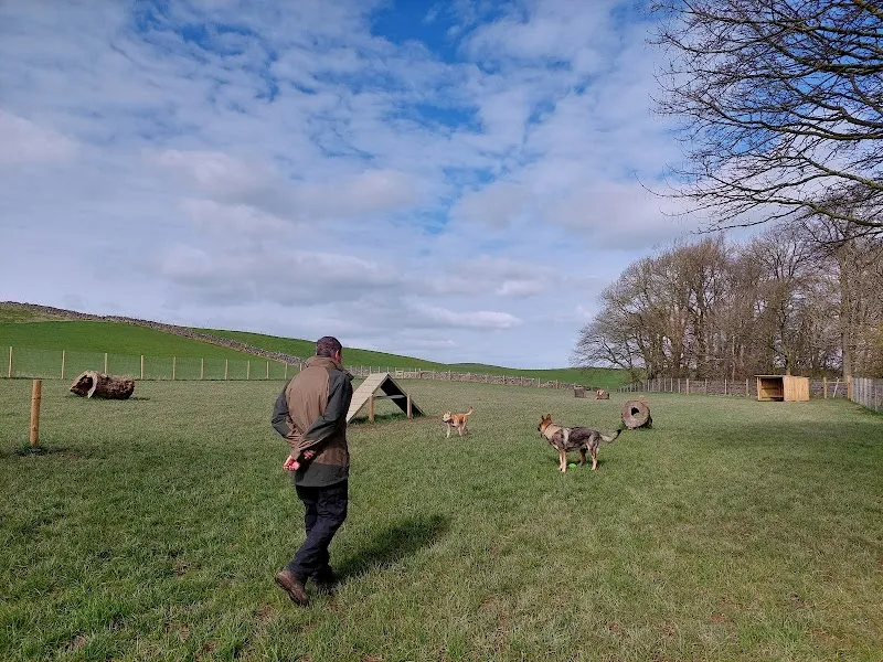 Marton Meadow Dog Walking Field secure private dog field in Skipton, BD23 3JN