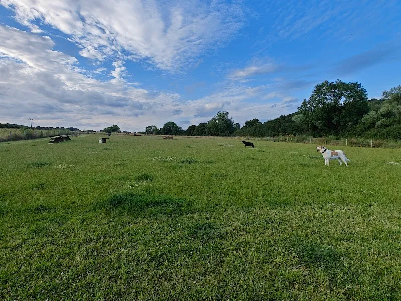Naughty Paws Play Paddock & Dog Walking Field secure private dog field in Stevenage, SG2 7ED