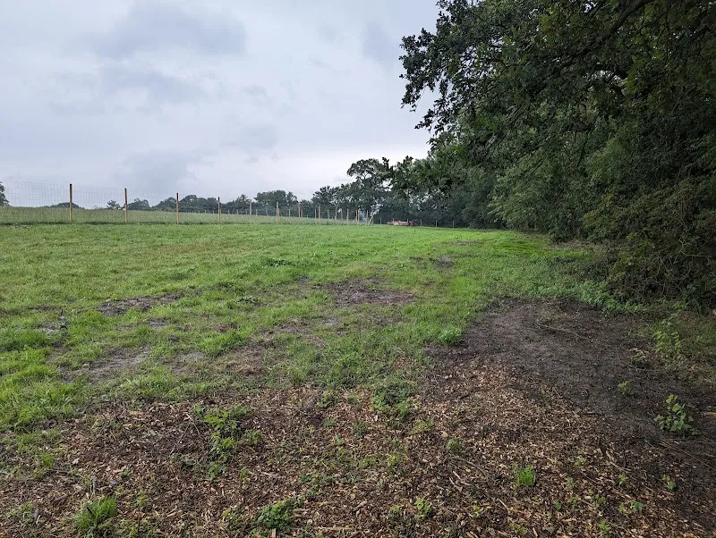 Woof World secure private dog field in South Oxfordshire, RG4 9HS