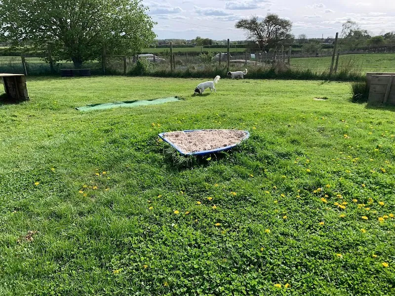 Puppy Paddocks (exclusive hire dog paddock) secure private dog field in Norwich, NR9 4AR