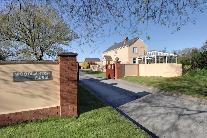 Woodlands Farm - Dog Fields secure private dog field in Holsworthy Devon, EX22 7JB