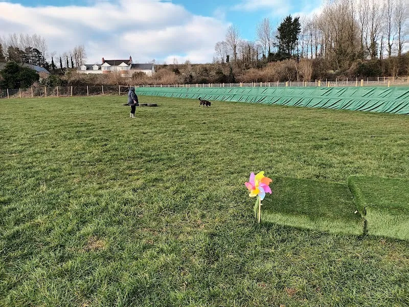 Collar Club Cardiff secure private dog field in Cardiff, CF5 6XN
