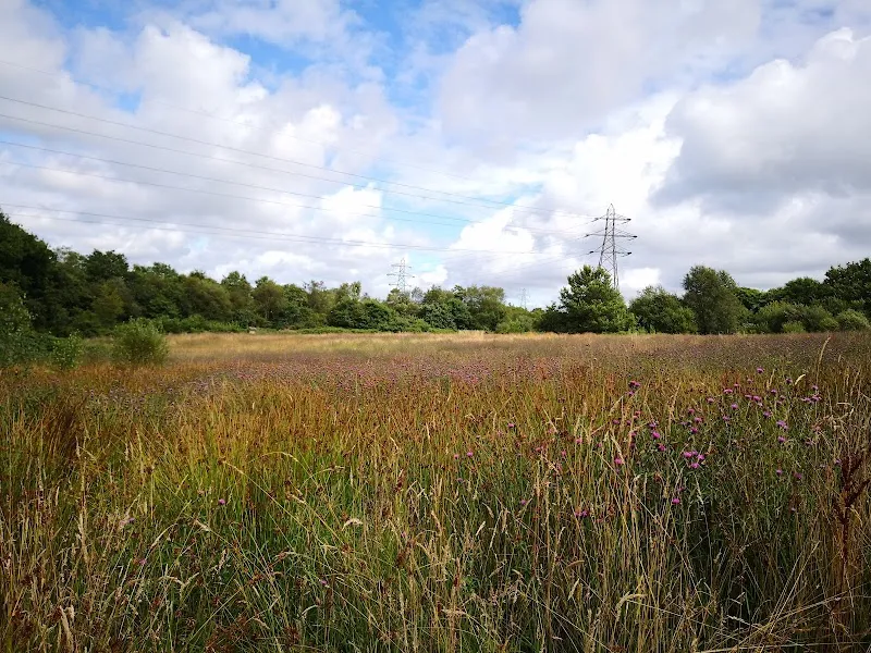 RSPCA Llys Nini Animal Centre secure private dog field in Swansea, SA4 9WB