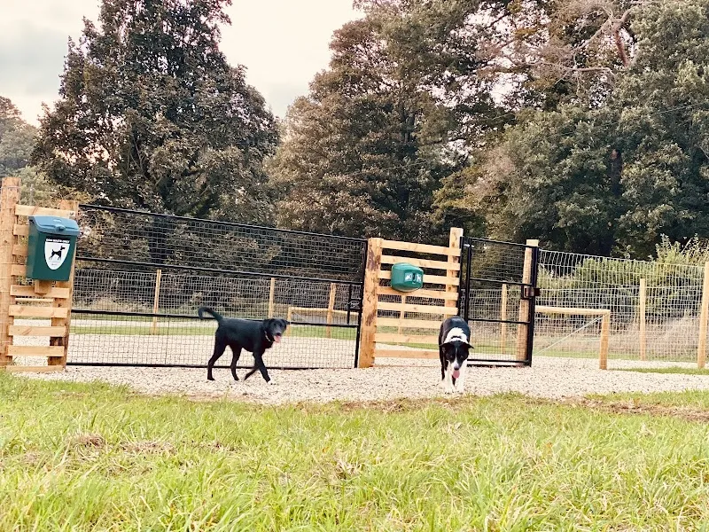 Walkies Tuddenham - Dog Walking Field secure private dog field in Ipswich, IP6 9DD