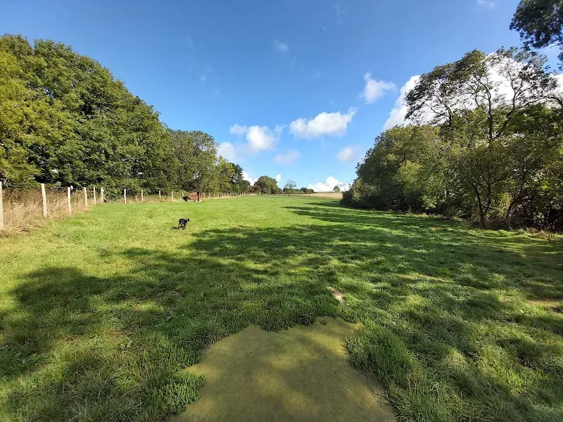Southdowns Unleashed secure private dog field in Lewes, BN7 3JN