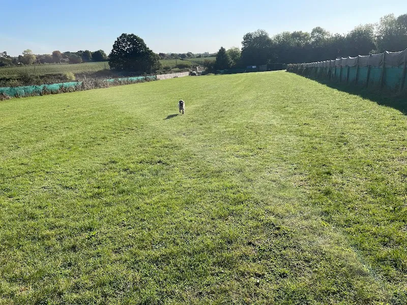Mutley Meadows secure private dog field in Sittingbourne, ME9 7XE