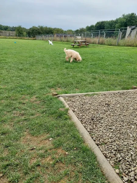 The Dog Pitch secure private dog field in Castleford, WF10 2EW