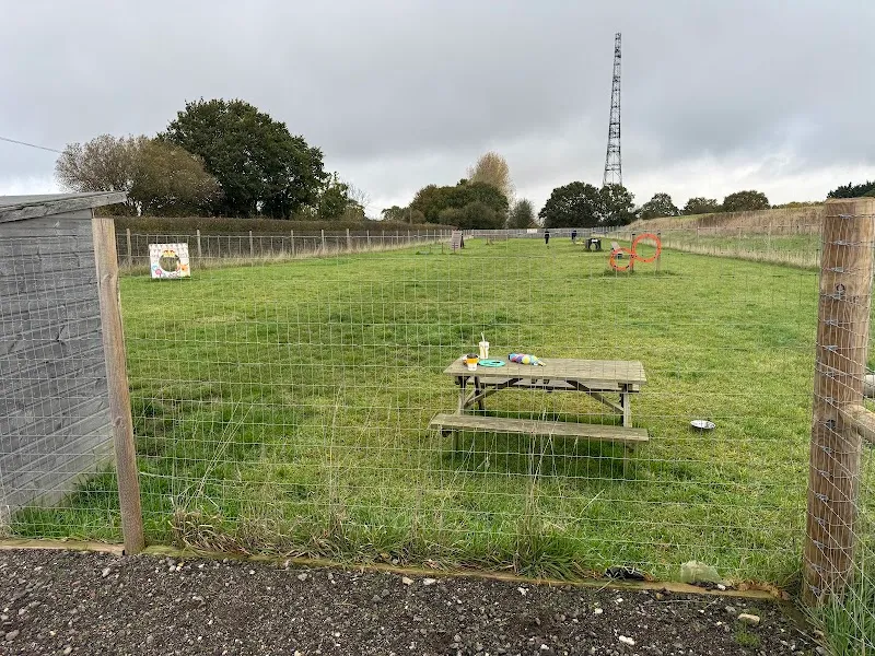 Paw Patch Great Bromley secure private dog field in Great Bromley, CO7 7US
