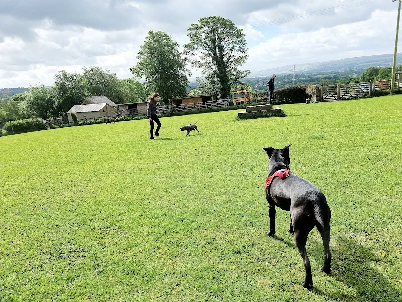 Robin Hill Paddock secure private dog field in Burnley, BB12 9DU