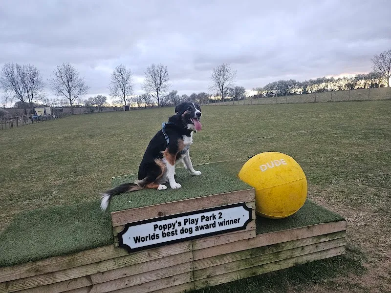 Poppy's Play Parks. secure private dog field in Deal, CT15 5BQ