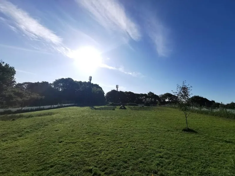 Paws at the Junction Ltd secure private dog field in Plympton, PL7 5AD