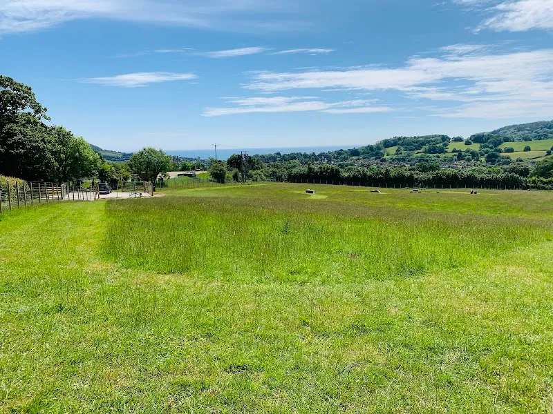 Unleashed Core Hill secure private dog field in Sidmouth, EX10 0NA