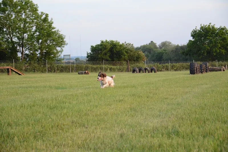 Warridge Paws secure private dog field in B61 9DW