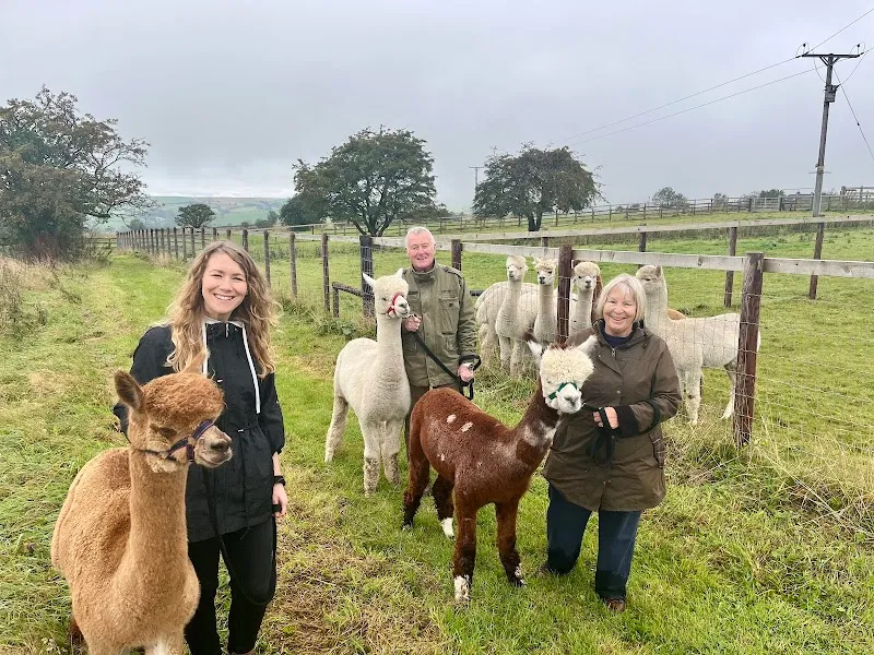 Oak Moor Farm secure private dog field in Grindon, ST13 7RH