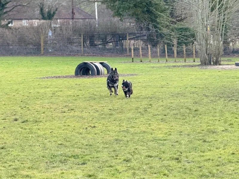 Grow Walkies - Hertford secure private dog field in Hertford, SG13 8LE