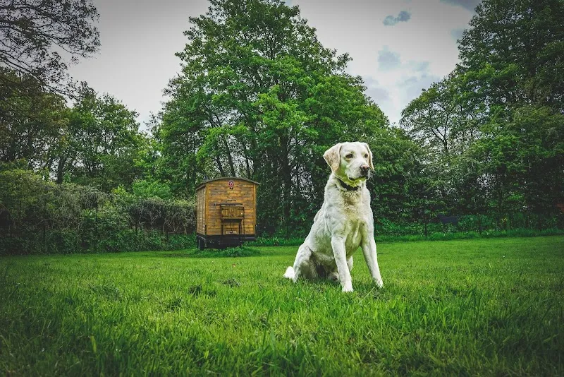 Field of Freedom secure private dog field in Chesterfield, S41 7UE