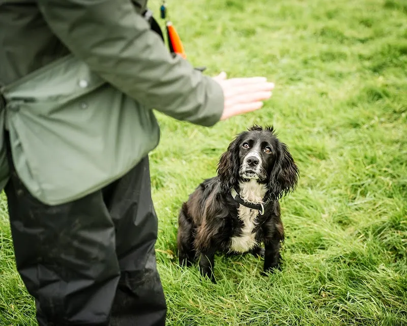 Mapowders Training secure private dog field in EX23 9NR