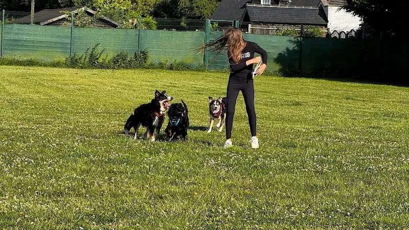 St John's Secure Dog Walking Field secure private dog field in Swingfield, CT15 7HG
