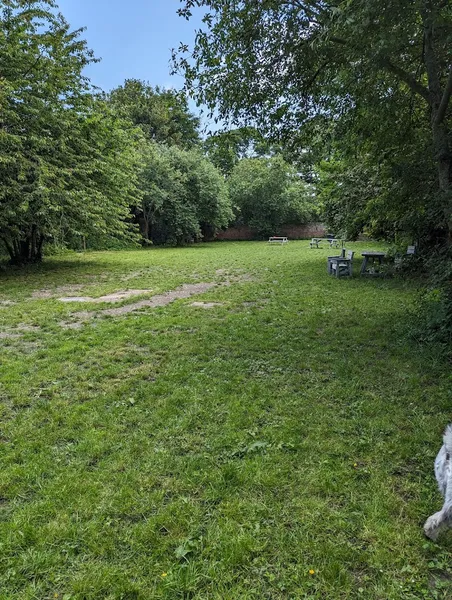 K9 Walled Garden secure private dog field in LL17 OHU, LL17 0HU