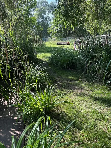 The Deben Dog Hub secure private dog field in Woodbridge, IP12 4BB