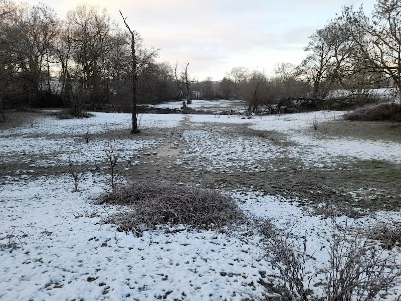 Doggy Daycare's STAY and PLAY Field secure private dog field in Halesowen, B62 0JH