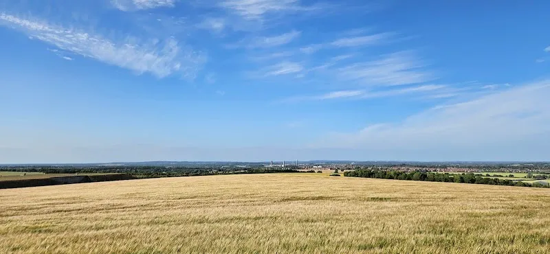 Hagbourne Hill Dog Field secure private dog field in Didcot, OX11 0NS