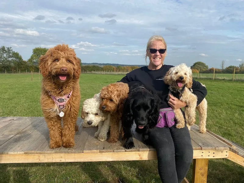 OAKHAM DOG WALKER secure private dog field in Oakham, LE15 7QY