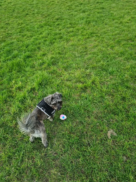 K9 secure private dog field in Stafford, ST18 0LX